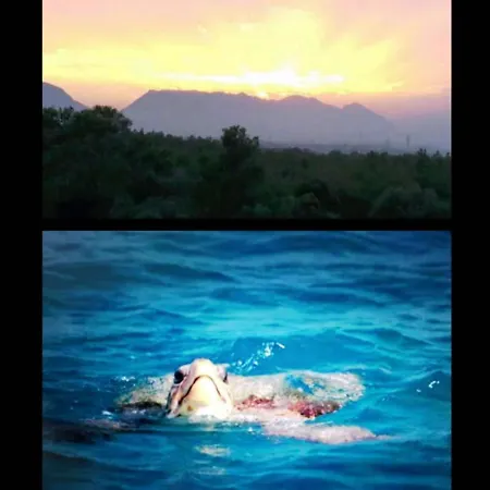 Appartamento Uptown App & Pool Daily Contactless Check In & Check Out