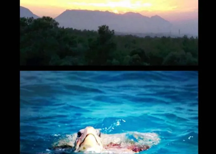 아파트 Uptown App & Pool Daily Contactless Check In & Check Out